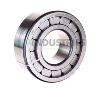 SL192313-C3 INA 65 x 140 x 48 mm CYL. ROLL. SINGLE ROW Fila singola di rulli ...