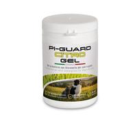SLAIS Srl PI GUARD CITRO GEL 250 ML