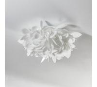 Slamp Veli Foliage Mini applique, Ø 36 cm VELCS00FLG00000000EU