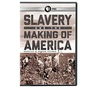 Slavery And The Making Of America
