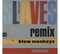 Slaves no more (Remix, 1989, feat. Sylvia Tella) / Vinyl Maxi Single [Vinyl 12'']