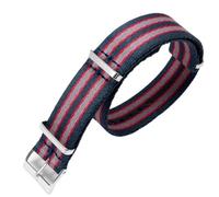 SLCHJX Cinturino in tela in nylon ad alta densità 20mm per banda omeganica 304 in acciaio inossidabile uomo sostituzione degli accessori per orologi braccialetti di sostituzione