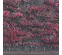 Sleep Token - Even In Arcadia - Cd