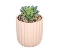 Sleepdown Halo Green Artificiale Artificiale Pianta Succulente Rosa Testurizzata Vaso per Casa Ufficio Bagno Decorazione Interna Estetica