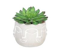 Sleepdown Halo verde artificiale pianta grassa facce grasse vaso per casa, ufficio, bagno, decorazione per interni, estetica, piccola