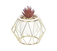 Sleepdown Halo Viola Profondo Succulente Artificiale Faux Pianta Oro Gabbia Stand per Home Office Bagno Decor Decorazione Interna Estetica