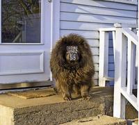 Sleeping Bag - Sleeping Bag