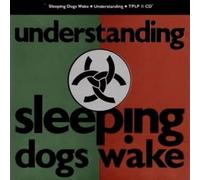 Sleeping Dogs Wake - Understanding