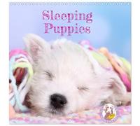 Sleeping Puppies (Wall Calendar 2026 12" x 24" / 30 x 60 cm (open)) CALVENDO 12 Month Wall Calendar