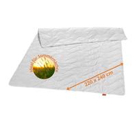 Sleepling Coperta Estiva in Seta Selvaggia 220 x 240 cm, Leggera, 100% Cotone Rivestimento, Made in Germany, Ökotex, Lavabile a 40 Gradi