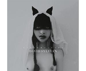 Sleepwalkers (Deluxe Edition 2lp) - David Sylvian (Vinile)
