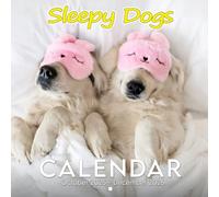 Sleepy Dogs Calendar 2026: Snoozing Pups in Their Cutest Moments | Kalender Calendario Calendrier | A Gift for Lazy Day Lovers