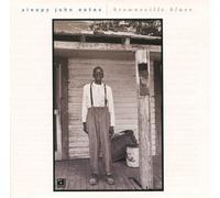 Sleepy John Estes - Brownsville Blues