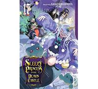 Sleepy Princess in the Demon Castle 17