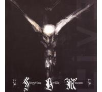 Sleepytime Gorilla Museum - Live