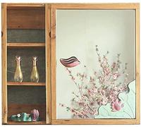 SLGGPJBU Armadietto da bagno Armadietto portaoggetti a parete, armadio a specchio da bagno Specchio per la casa Specchio da bagno a parete, 60*13*60 cm