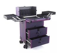SLGGPJBU Valigetta professionale per trucchi, trolley organizer per cosmetici, borsa per attrezzi per tatuaggi, aste a doppio cassetto, nero 1, viola, Viola