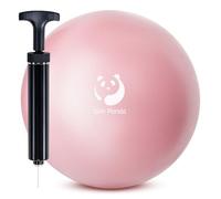 Slim Panda Palla da Pilates da 9 Pollici con Pompa, 23-25CM Palla da Esercizio per Pilates, Equilibrio, Stabilità, Allenamento, Allenamento del Core (Ugello Anti-Perdite)