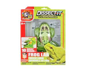 SLIMY Lab Dissect-IT - Kit di sperimentazione e scoperta - Laboratorio di melma, giocattolo di apprendimento STEM/menta premiato - Kit di plastilina con plastilina e strumento di dissezione -