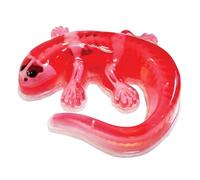 SLIMY Lab Dissect-IT - Kit per la sperimentazione e la ricerca di dissezione - Laboratorio di melma, giocattolo di apprendimento STEM/menta premiato - Kit di plastilina con plastilina e strumento