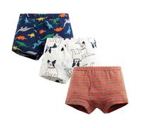 Slip Bambino Mutandine Bimbo Pantaloncini Ragazzo 14 Anni Cotone Costume Canottiere Copripannolino Mutande Bambina 4 Assorbenti Training Bambini 6 2 Spannolinamento 3 12 16 di Apprendimento Mio