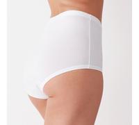 SLIP DONNA COTONELLA MAXI CULOTTE - VITA ALTA - OFFERTA 8 PEZZI - COTONE - GD107