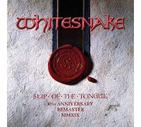 slip of the tongue