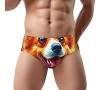 Slip traspiranti della stampa della biancheria intima del bikini del triangolo degli uomini della stampa del dinosauro, Carino Corgi Cane 9, S