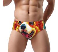 Slip traspiranti della stampa della biancheria intima del bikini del triangolo degli uomini della stampa del dinosauro, Carino Corgi Cane 8, M