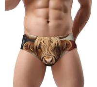 Slip traspiranti della stampa della biancheria intima del bikini del triangolo degli uomini della stampa dei fiori, Bandiera Usa Highland Cow 4, L