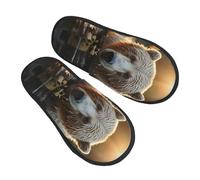 Slippers Orso Che Attraversa Il Fiume Antiscivo Cotone Pantofole Moda Scarpe Di Cotone Per Unisex Hotel Esterno L