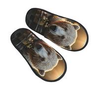Slippers Orso Che Attraversa Il Fiume Moda Pantofole Antiscivo Pianelle Per Esterno Interno Casa L