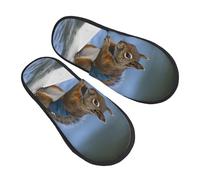 Slippers Scoiattolo Che Fa Sci D'Acqua Moda Ciabatte Eleganti Pantofole Per Invernale Interno Casa M