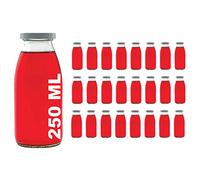 slkfactory - 24 Bottiglie di Vetro vuote da 250 ml, con Tappo a Vite, 0,25 l