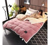 SLOPSS Bedding 4 Piece Bed Sheet Set Thickening Warm Duvet Solid Color Flannel/Velvet Winter Double Twin Full Queen King Size Quilt Cover- LAN_150x200cm (Dou Sha 150x200cm 1pcs)