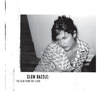 Slow Dazzle - View From The Floor