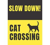 Slow down! cat crossing: Adult Coloring Creative Kittens Coloring Book (Creative Haven Coloring Books)
