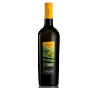 Slow Sardinia | Vino bianco Vermentino di Sardegna DOC 2022, 75cl, 13% vol, vetro | Note floreali e frutta matura, biologico, prodotto in Sardegna | Gusto fresco per piatti di pesce e terra
