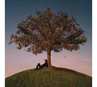 slowthai TYRON (Vinyl LP) 12" Album