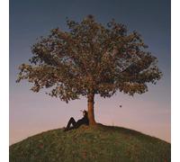 slowthai TYRON (Vinyl LP) 12" Album