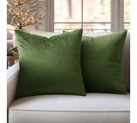 Slozzi Set di 2 in Copricuscini in Velluto per la Casa Federe Decorative Cuscini Quadrati Morbidi per Divano Camera da Letto con Cerniera Invisibile 45x45 cm Verde Matcha