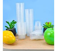 SLTAXAR 100 Pezzi Bicchieri in Plastica Trasparente 30ml Mini Bicchieri Plastica Bicchieri Shot in Plastica Riutilizzabili Bicchieri Piccoli per Liquore Plastica per Feste Compleanni Picnic Matrimoni