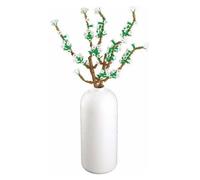 Sluban Fontanesia con vaso ( 258 pz ) PLEYERID 10 M38 B1101 15
