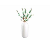 Sluban M38-B1101-15 PLEYERID - Fontanesia 269PCS