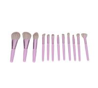 Sluffs Makeup Brushes Sets, Professional Make up Brushes Premium Synthetic Foundation Brush Kit for Professional Make Up Brush Set.