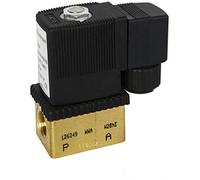 SLUSHSPYF Elettrovalvola a stantuffo a Due Vie ad Azione Diretta G1/4 Pollici AC220V AC110V DC24V AC24V Utile(AC 220v)