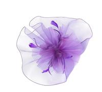 SLXLYH Velo per la privacy per il viso, comodo, accessorio professionale per fotografia per industria dello spettacolo (viola)