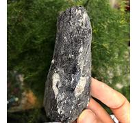 SLXWSXZE 1PC 100-300g Grezzo Tormalina Nera Campione di Cristalli e Pietre Metafisica di Pulizia dell'Aria forStone NaturalReiki Decorazione Cristalli Reiki (Size : 1pc 100-200g)