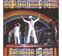 Sly & the Family Stone - Big Funked Up Hits