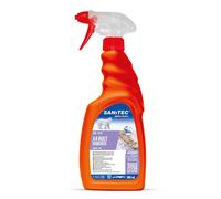Smacchiatore X4 per macchie ruggine vernice cemento Sanitec 500ml